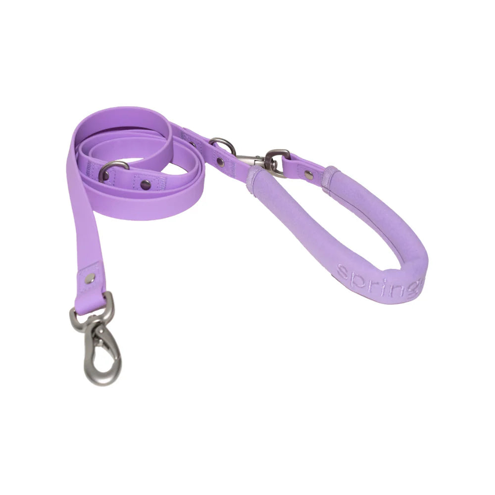 Small & Regular Leash (Case of 4)