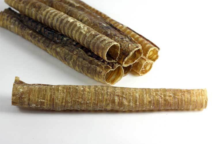 12" Beef Trachea (Bulk) -Pack of 25