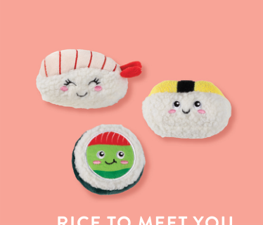 Fringe Studio RICE TO MET YOU 3PCS SMALL DOG TOY Case of 4