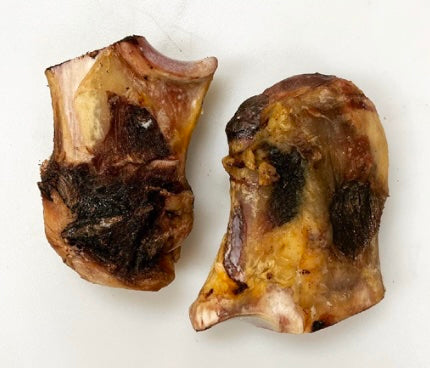 Bison Knee