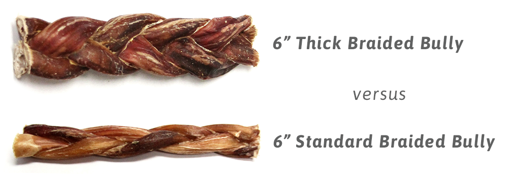6" Thick Braided Bully Stick - Odor Free (Bulk)- Pack of 25