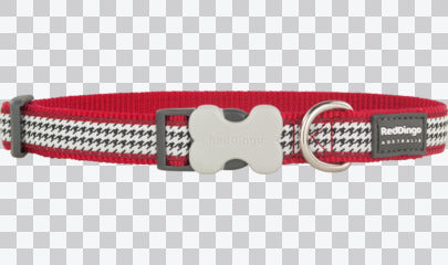 Buckle Bone Dog Collars - Design - Fang It