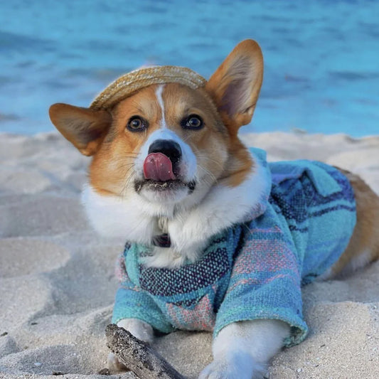 Charlie Ponchos