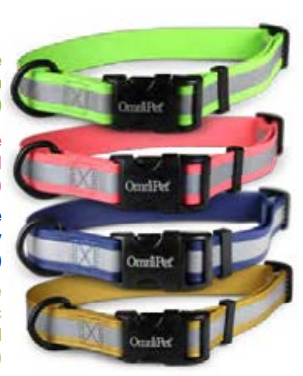 Zeta Reflective-Style Collars