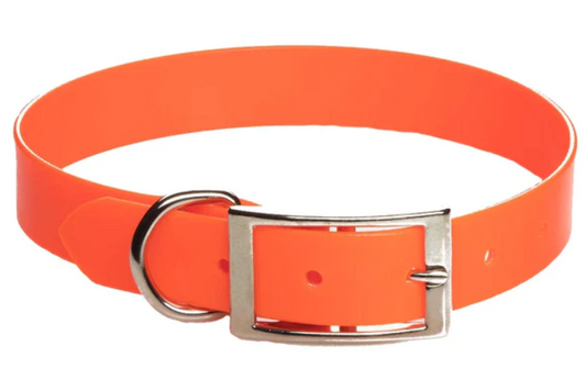 Day Bright Collar (Synthetic)