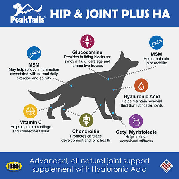 Hip & Joint Plus HA