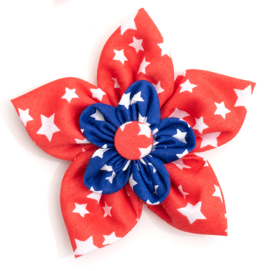Stars Flower