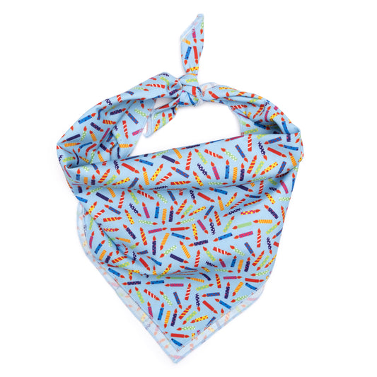 It's My Birthday Bandana