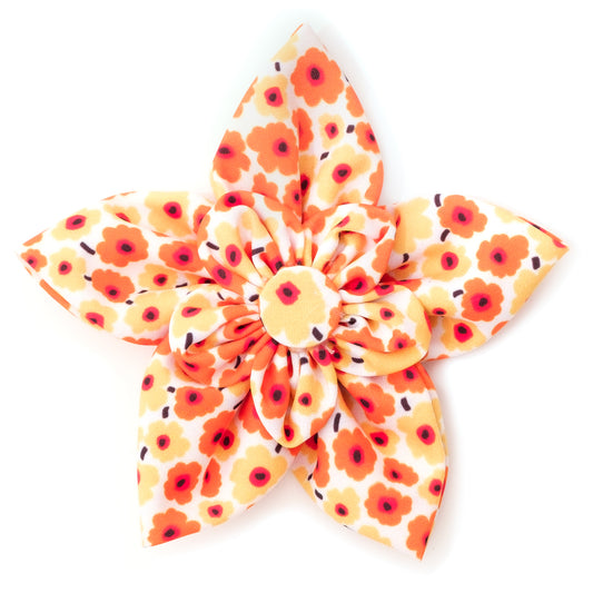 Fleurs Flower