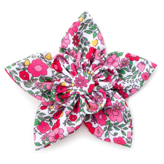 Spring Garden Flower