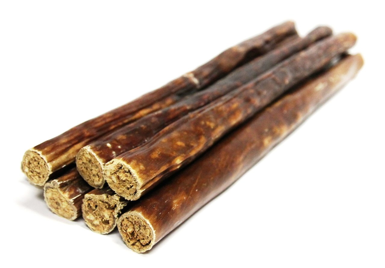 12" Chewy Bulls (Bulk)- Pack of 25