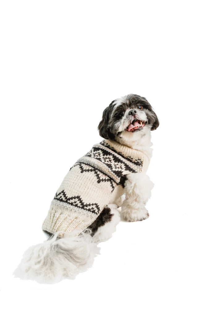 Chilly Dog cream alpaca Wyatt shawl sweater on a black and white dog