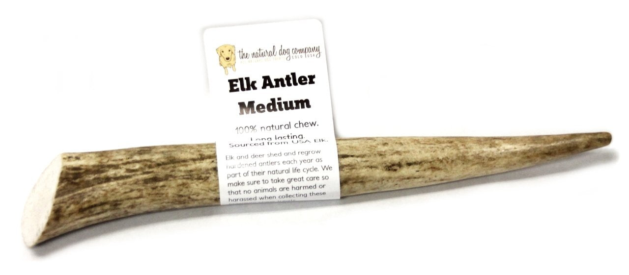 Elk Antler - Medium Whole- EACH