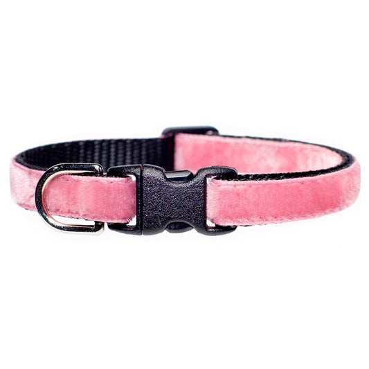The Ballerina - Collar