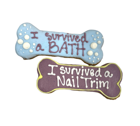 Daily Treats- Custom Grooming Bone Ideas 5"- Tray Of 10
