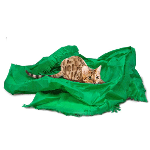 Magic Carpet