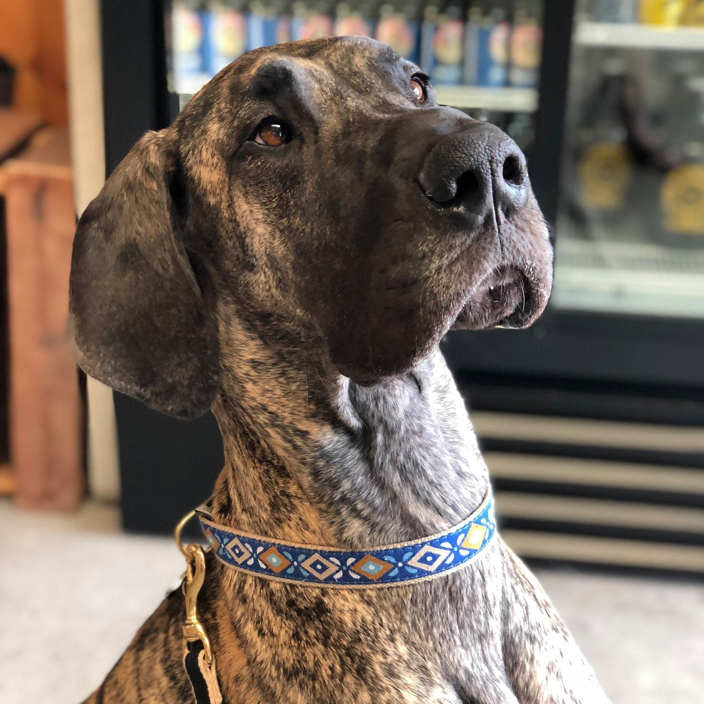 Aztec Blue Dog Collar