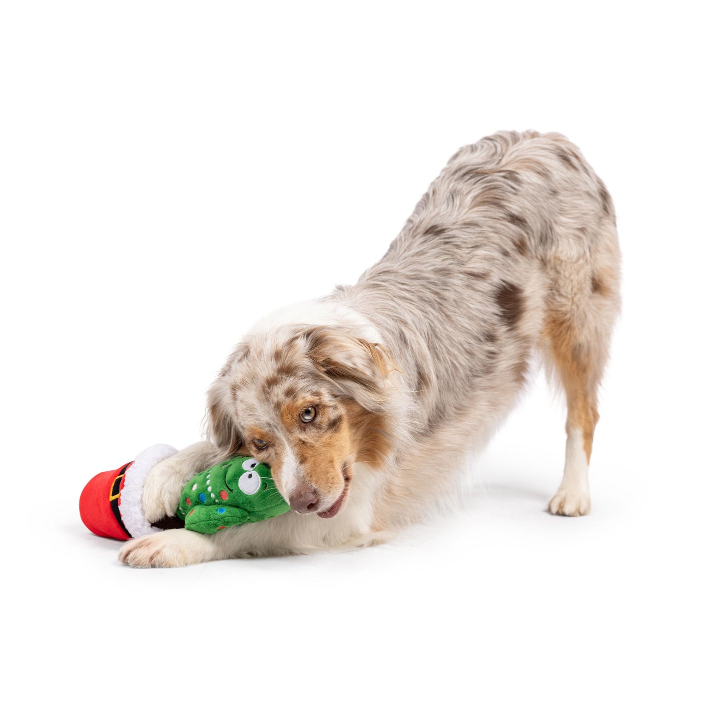 Seek 'n Treat Prickly & Bright Pawt Dog Toy