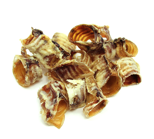 TRACHEA BITES- PACK OF 10