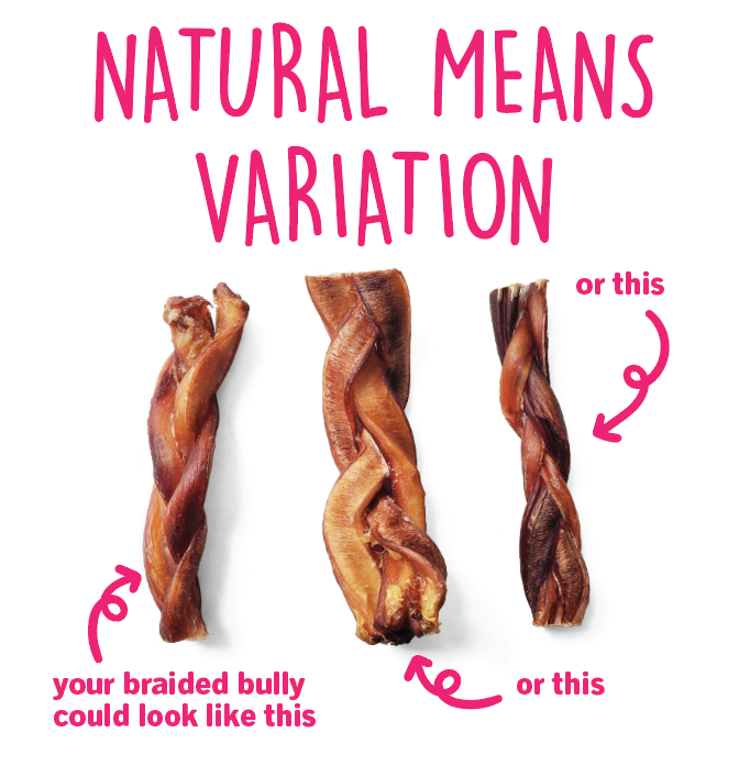 6" Thick Braided Bully Stick - Odor Free (Bulk)- Pack of 25
