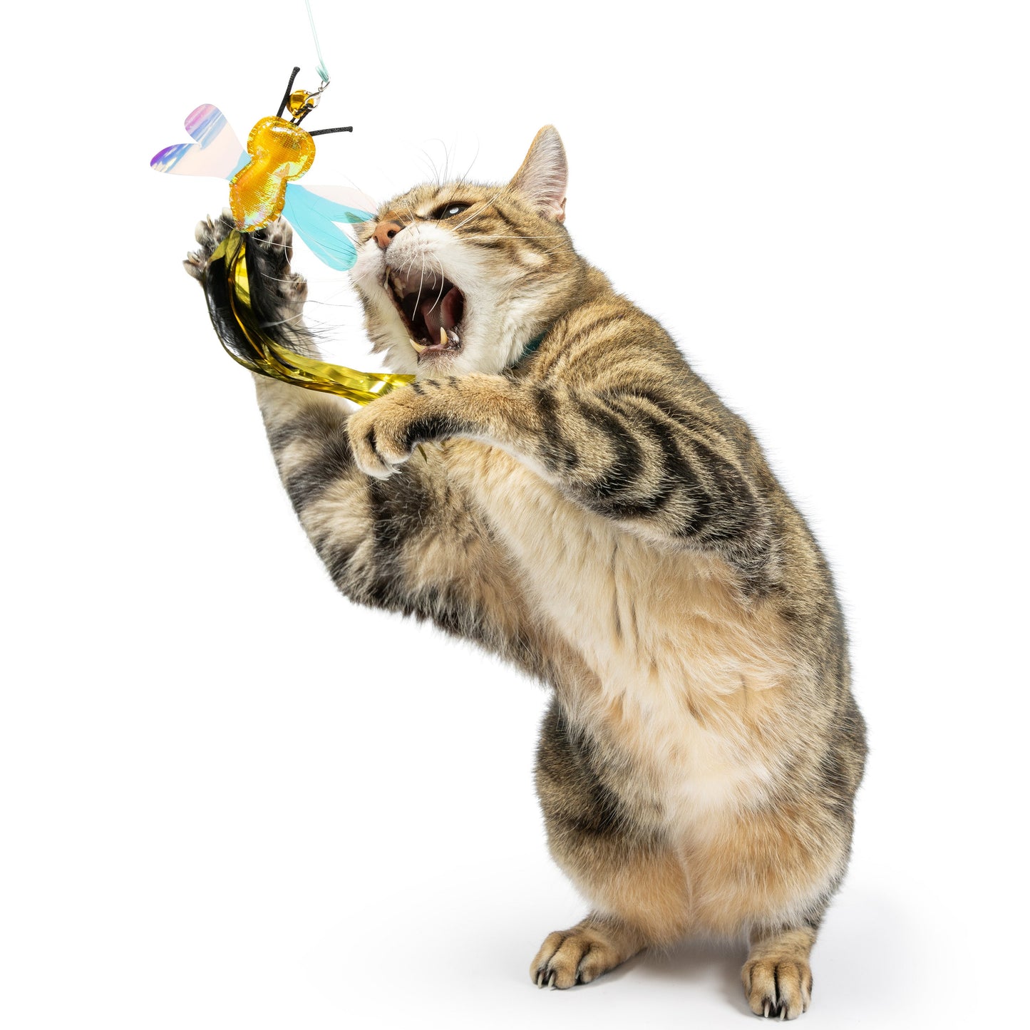 Buzz Bee Streamers 2pk Refill Cat Toy