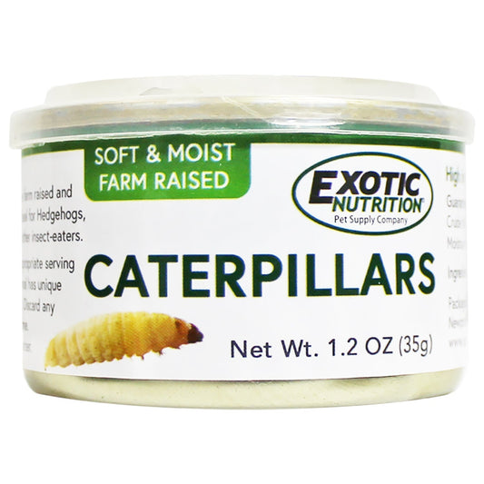 Canned Crickets