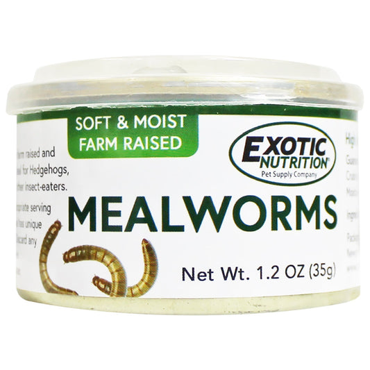 Canned Silkworm Pupae