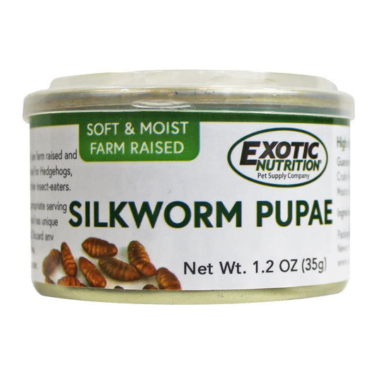Canned Snails