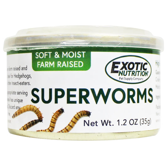 Canned Wax Worms