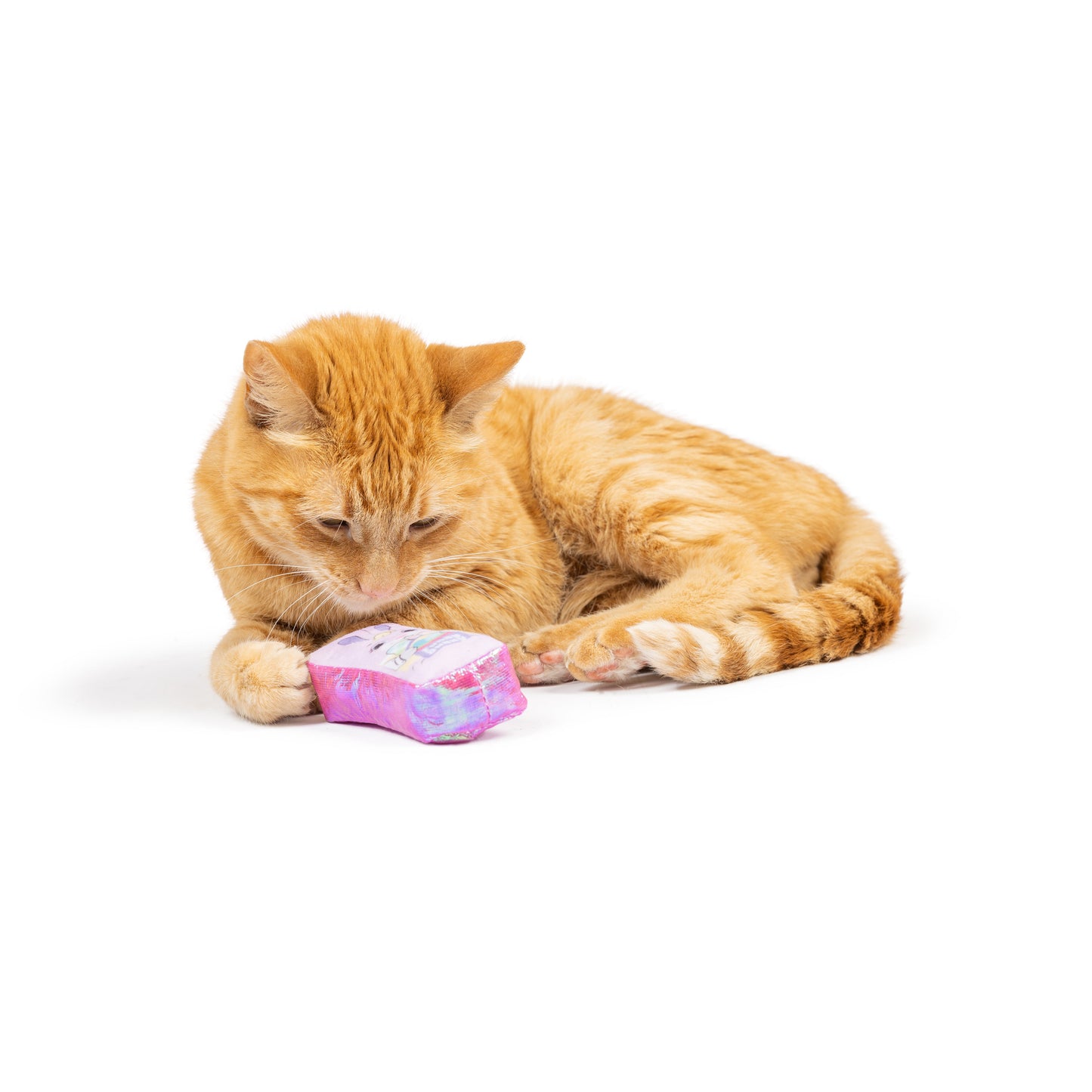 Hoppy Easter 2pk Cat Toy - 30% Off