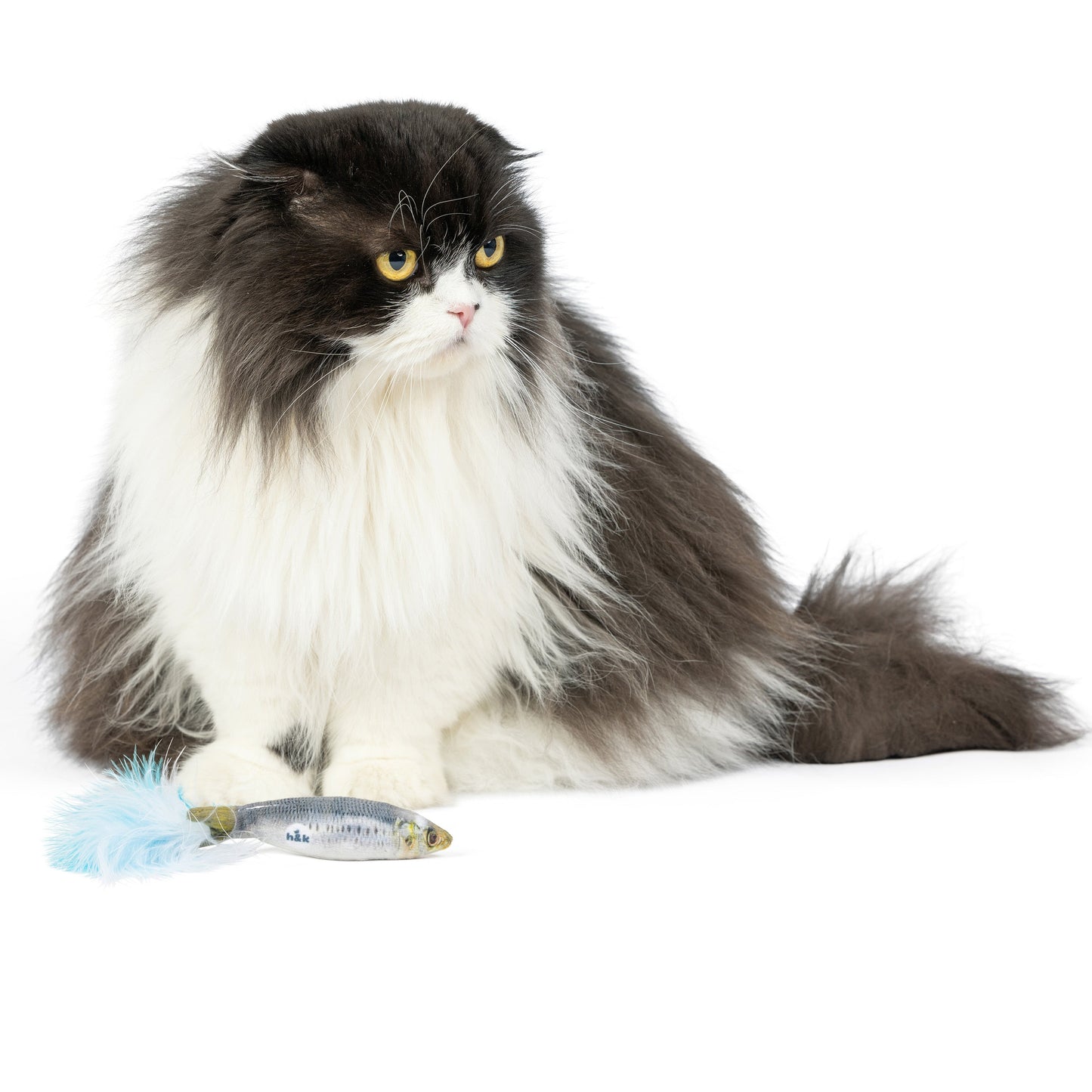 Sardine Cat Toy