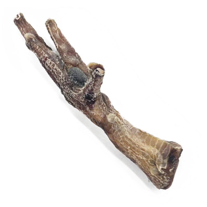 Chicken Feet (Bulk)- Pack of 25