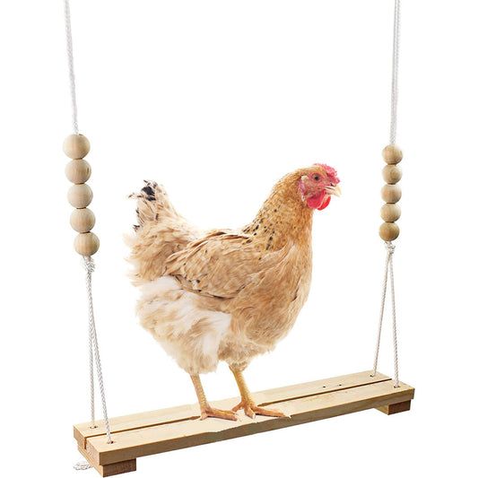 Chicken Treat Dispenser