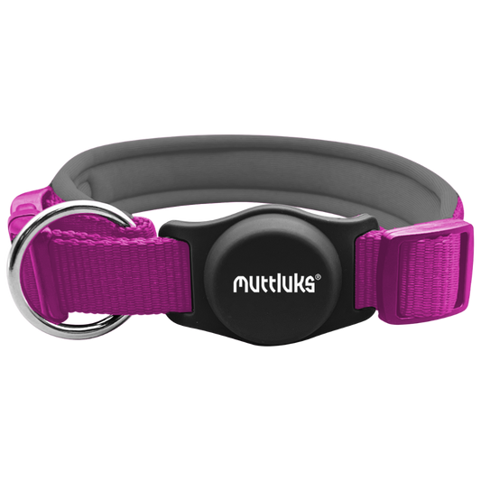 MuTTravel ComfiNek Collar with AirTag Case
