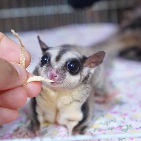 Opossum Booster (Multivitamin)