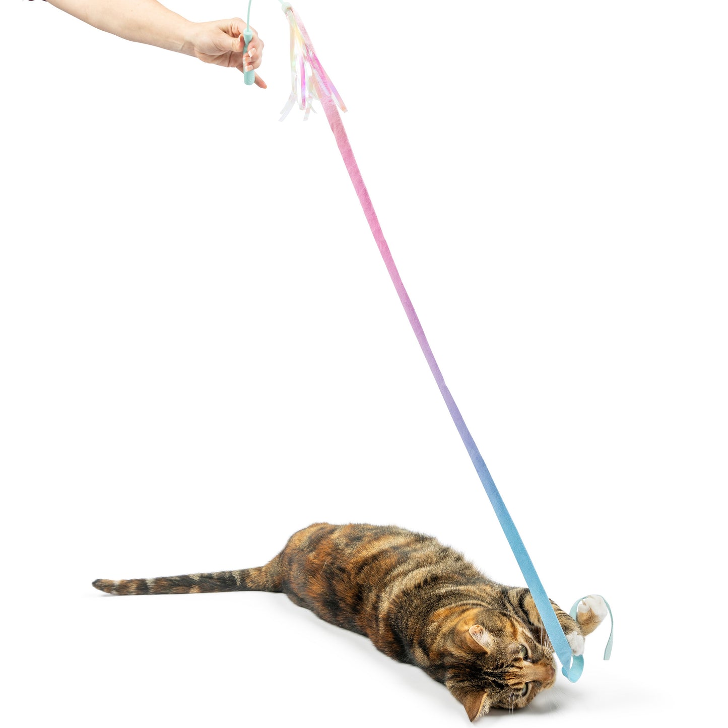 Dance & Lure Pastel Wand Cat Toy