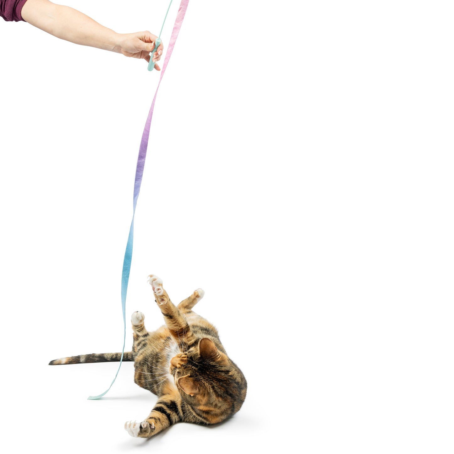 Dance & Lure Pastel Wand Cat Toy