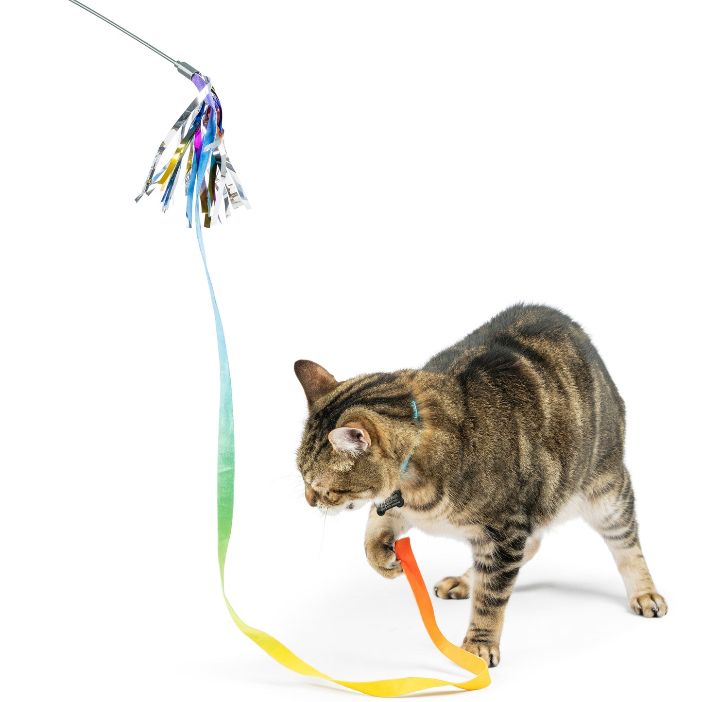 Dance & Lure Rainbow Wand Cat Toy