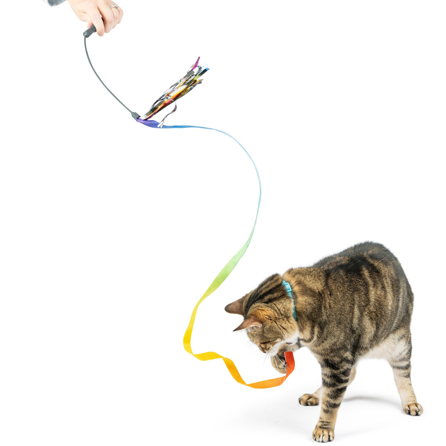 Dance & Lure Rainbow Wand Cat Toy