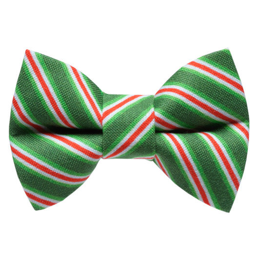 The Dasher - Bow Tie