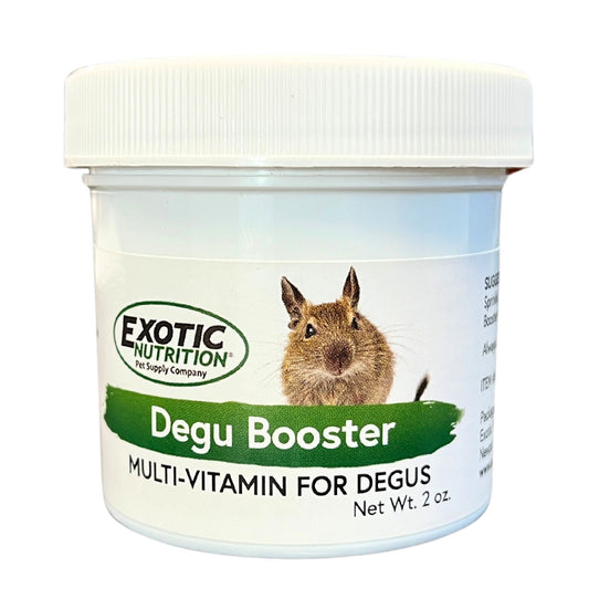 Degu Diet with Whole Oats Degu Food
