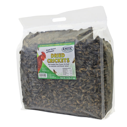 Dried Crickets 8 oz.