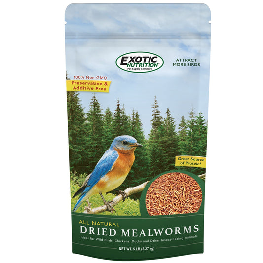 Dried Mealworms Bulk