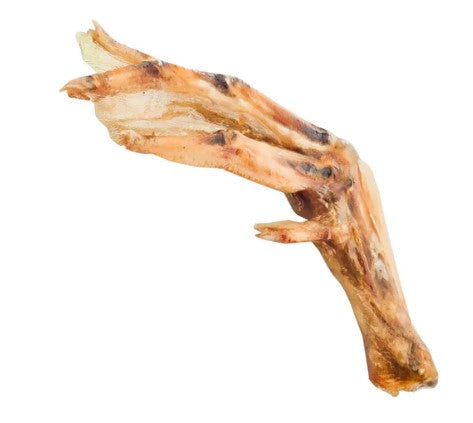 DUCK FEET- PACK OF 10