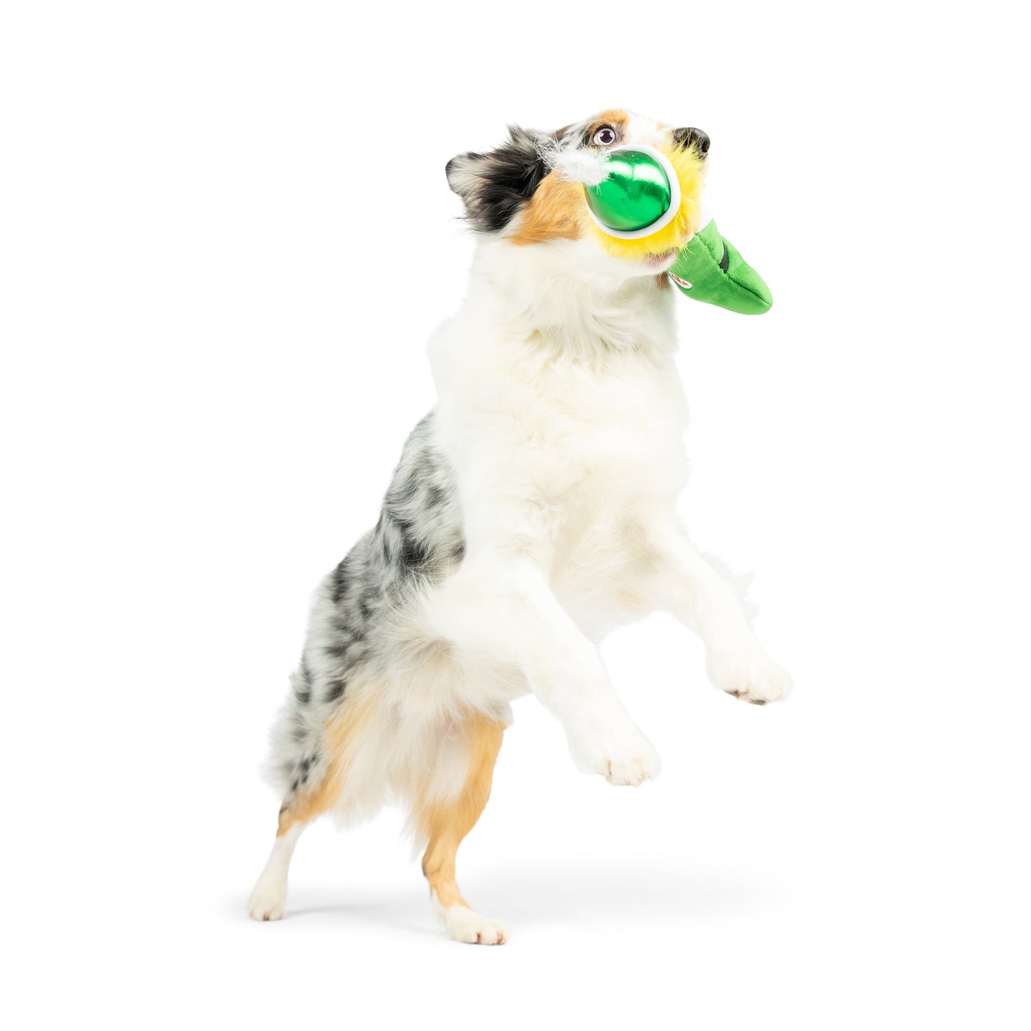 Elfin' Bone Dog Toy