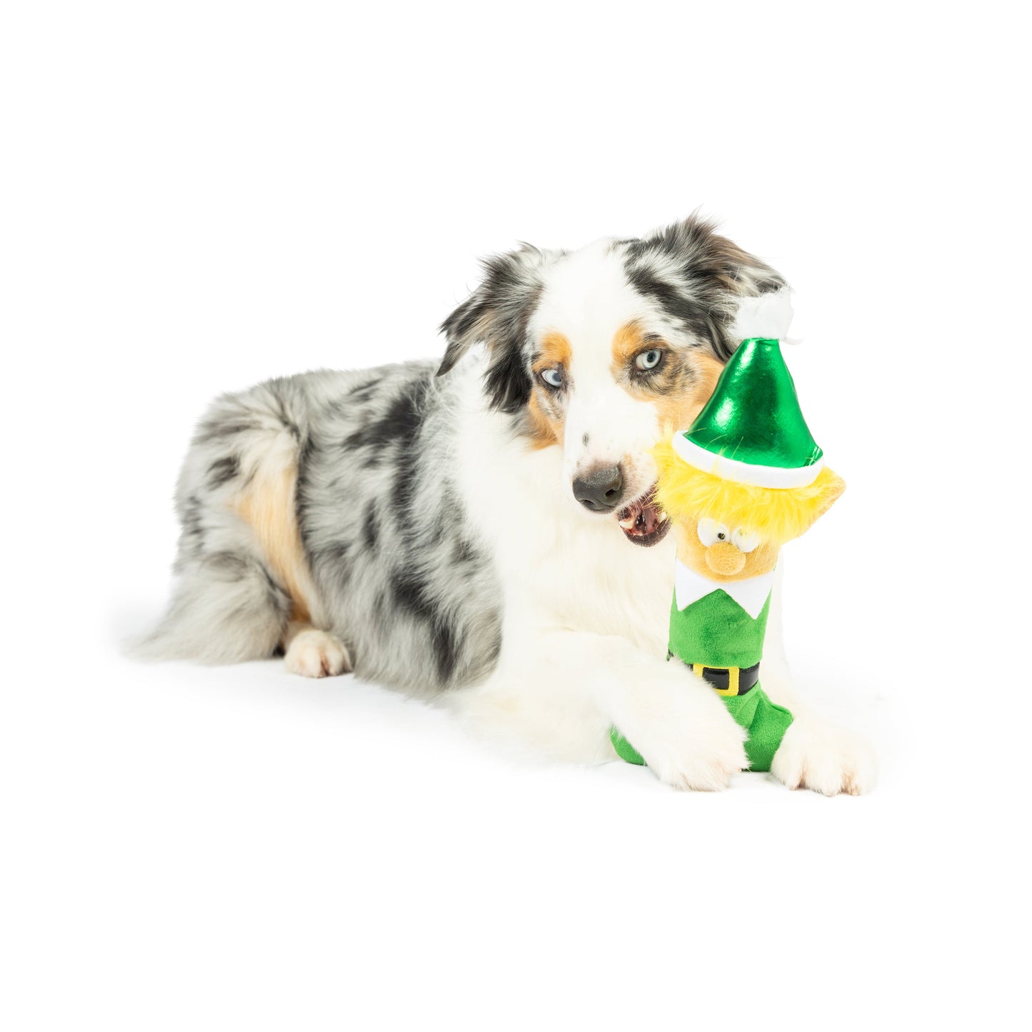 Elfin' Bone Dog Toy