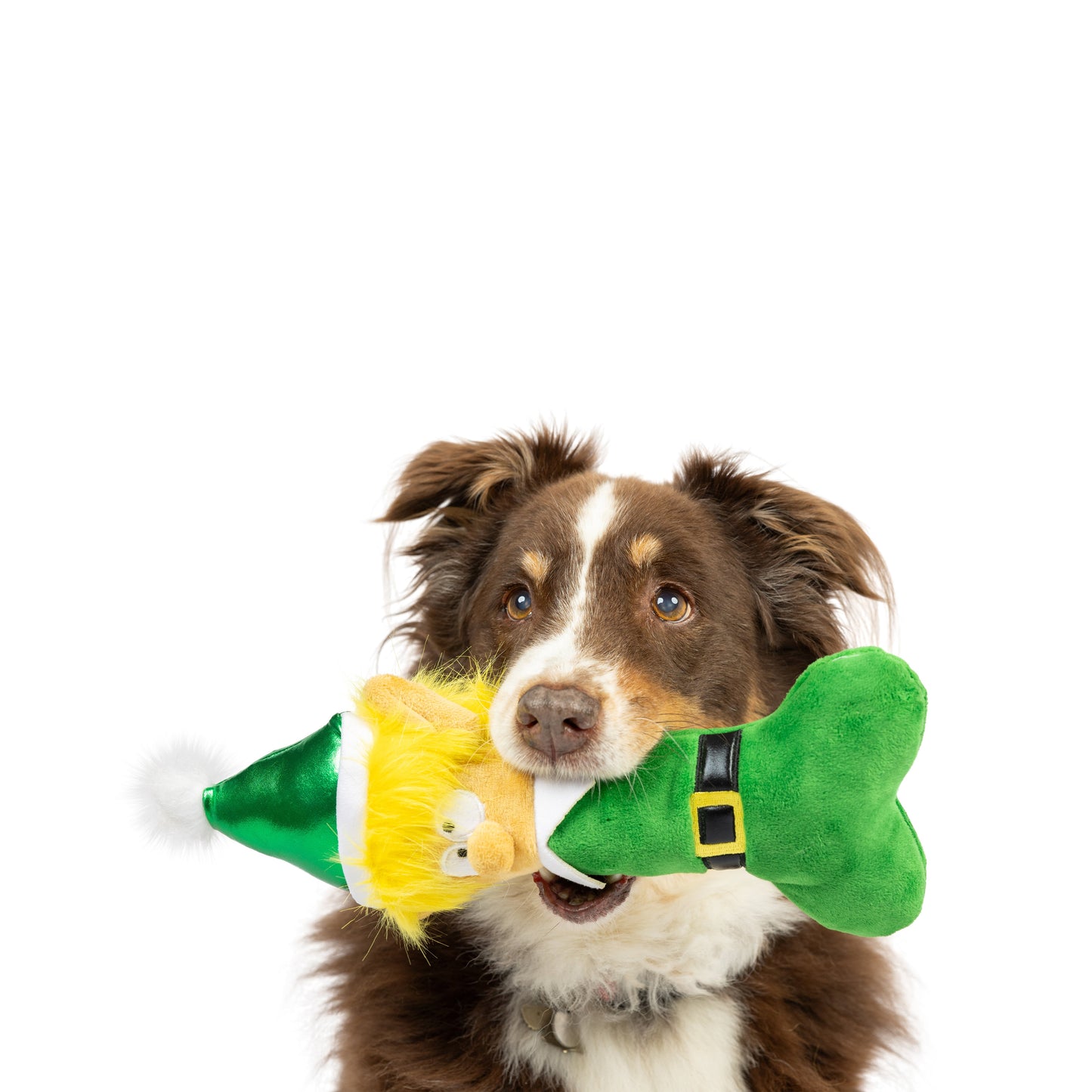 Elfin' Bone Dog Toy