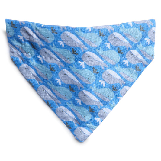 The Fin-tastic - Cat Bandana