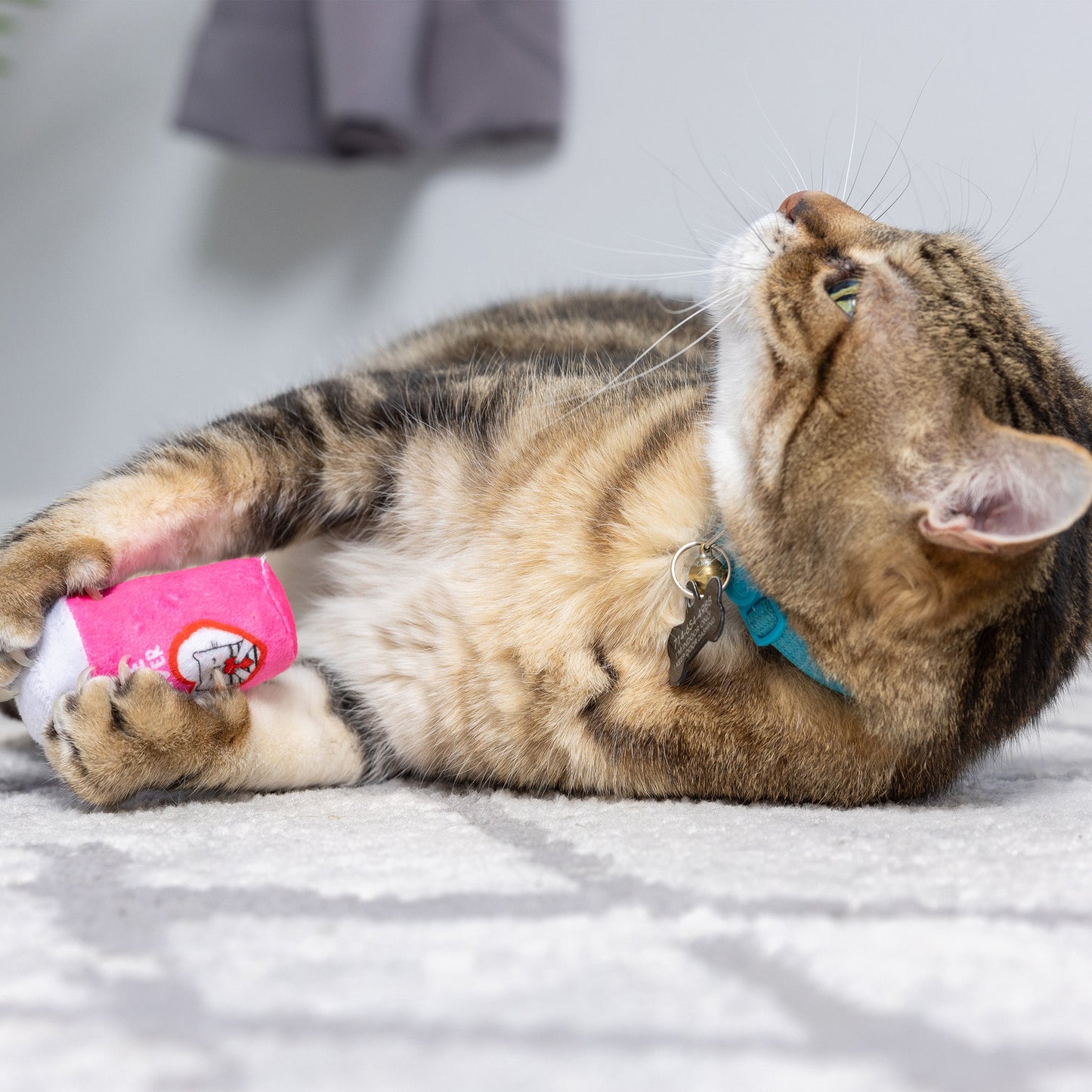 First Lick Heart & Be Mine Coffee 2pk Cat Toy