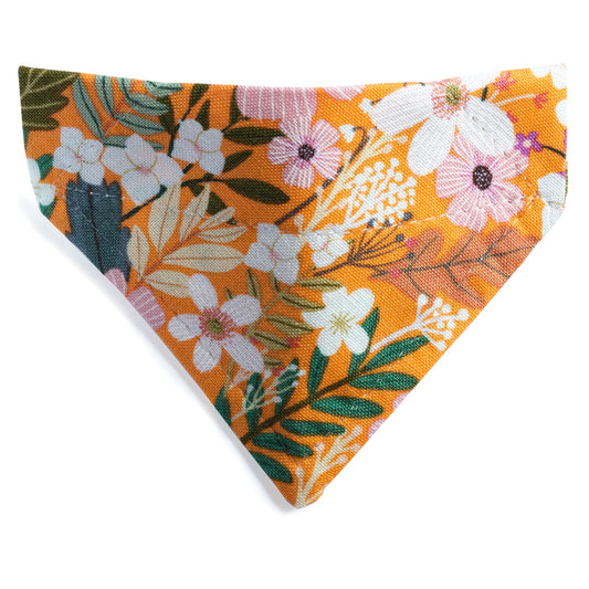 The Force of Nature - Cat Bandana